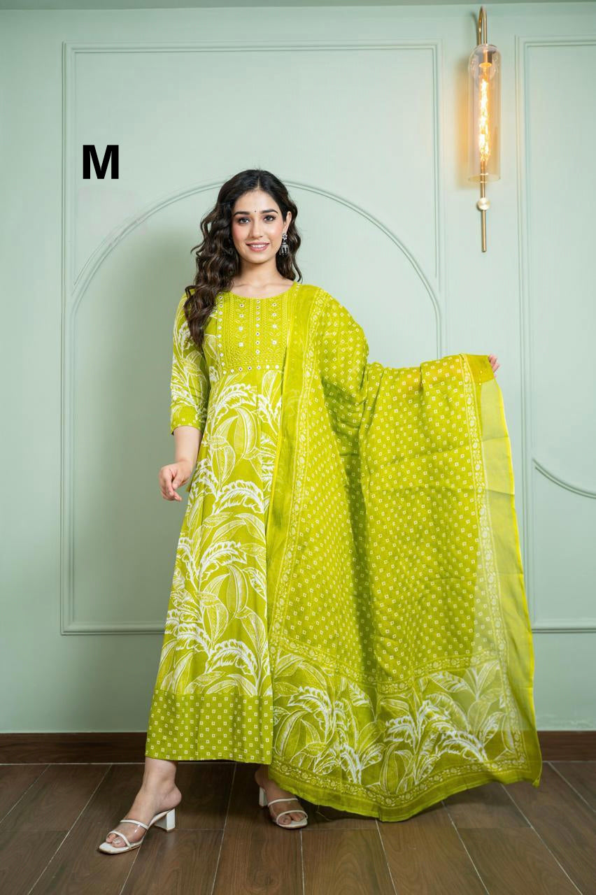 AD1017 - Anarkali kurtis with Dupatta