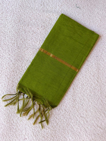 P023 - Silk Dupatta (apple green)