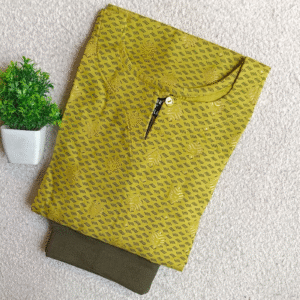 3477 - Kurti with Jeggings Combo