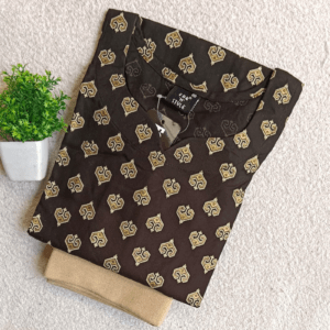 3458 - Kurti with Jeggings Combo
