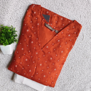 3800 - Kurti with Jeggings Combo