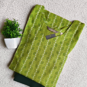 3820 - Kurti with Jeggings Combo