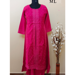 3846 - Designer wear Kurtis