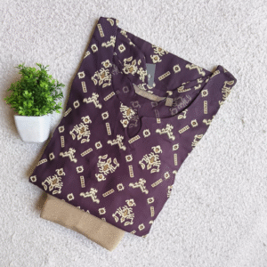 4009 - Kurti with Jeggings Combo